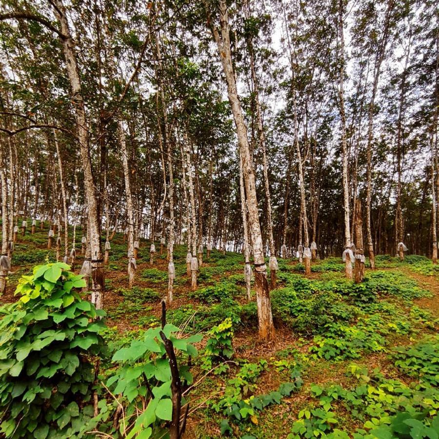 Seethawaka Regency Avissawella Esterno foto